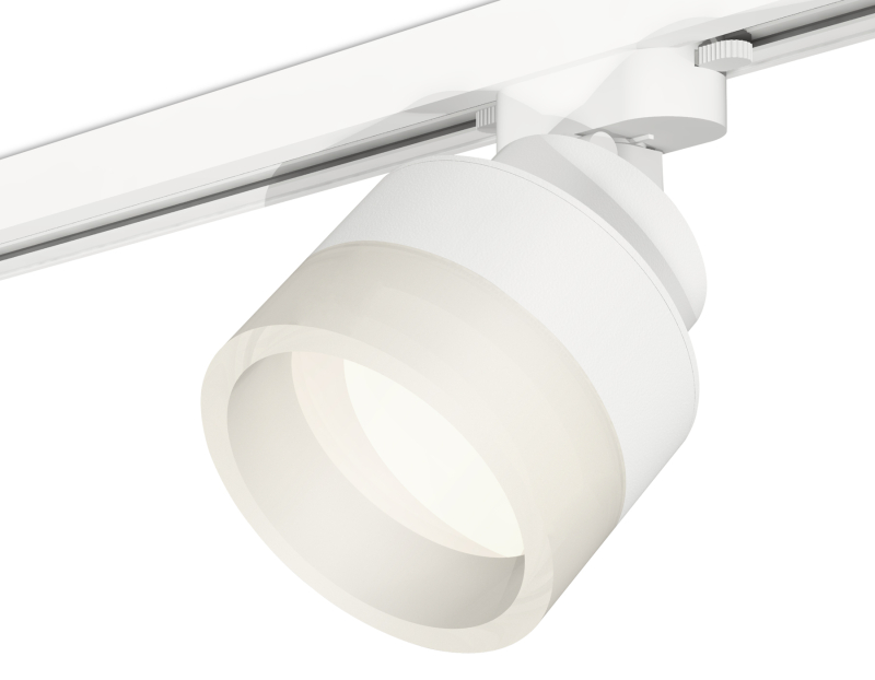 Трековый светильник Ambrella Light Track System XT8101020 (A2524, A2105, C8101, N8401)