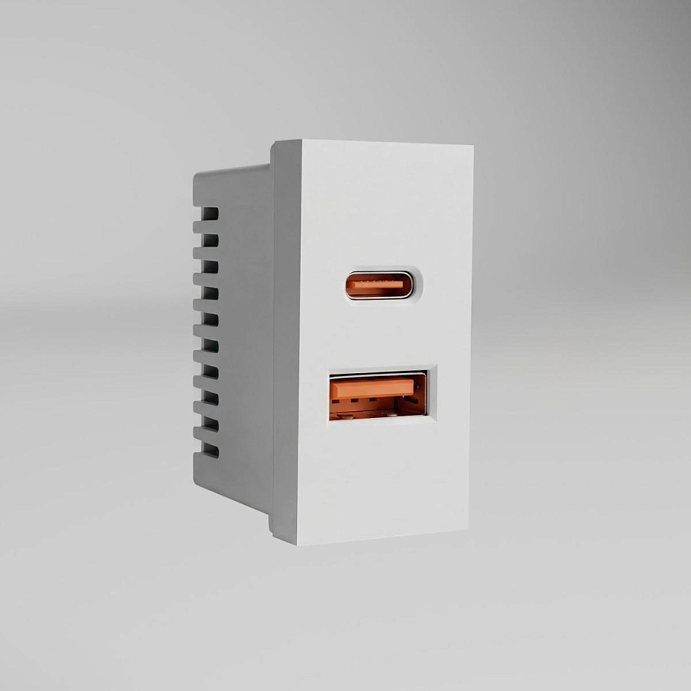 Модульная розетка USB тип A+C Werkel W1272701 4630644890062 a072528